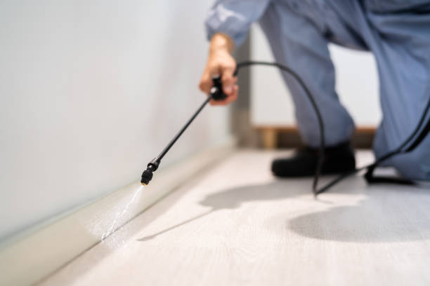 Rodent Entry Point Assessment in Cottage Grove