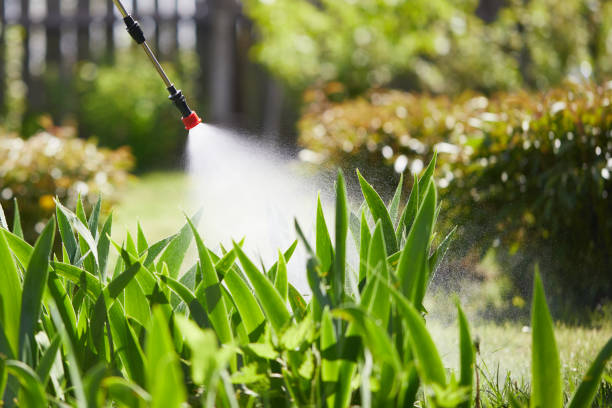 Tamper-Resistant Bait Stations for Rodents in Cottage Grove