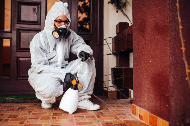 Attic and Crawl Space Rodent Treatment in Cottage Grove