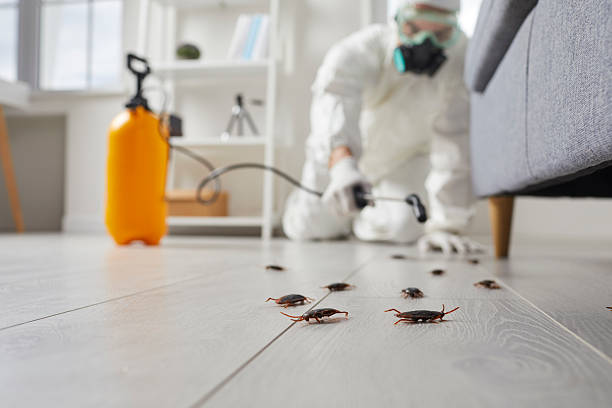 Commercial Rodent Management in Cottage Grove